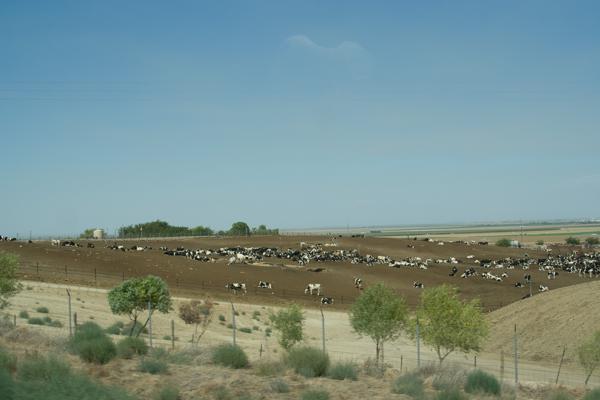 Fresno County, United States