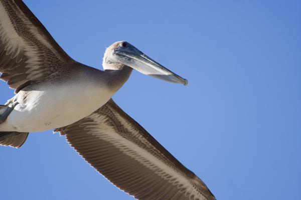 Santa Cruz, United States