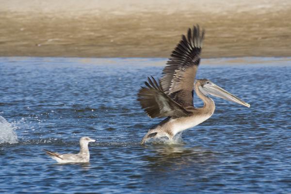 Santa Cruz, United States
