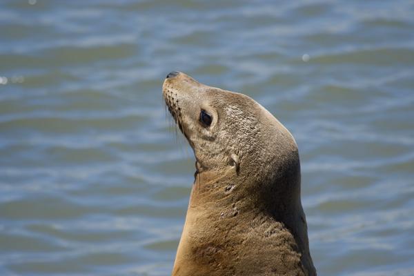 San Francisco, United States