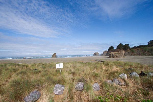 Mendocino County, United States