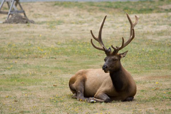 Humboldt County, United States