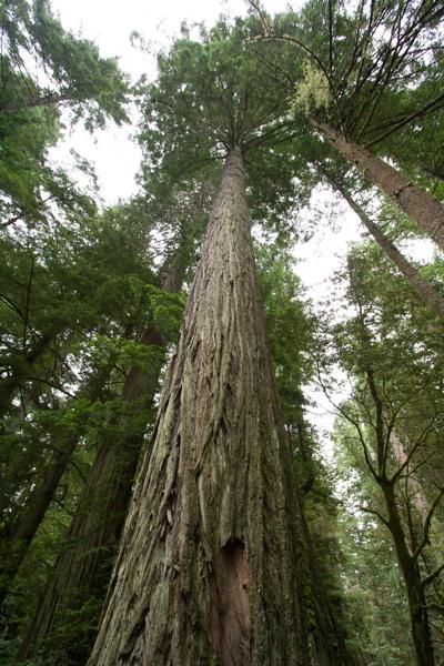 Del Norte County, United States
