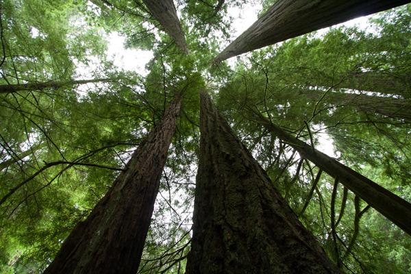 Del Norte County, United States