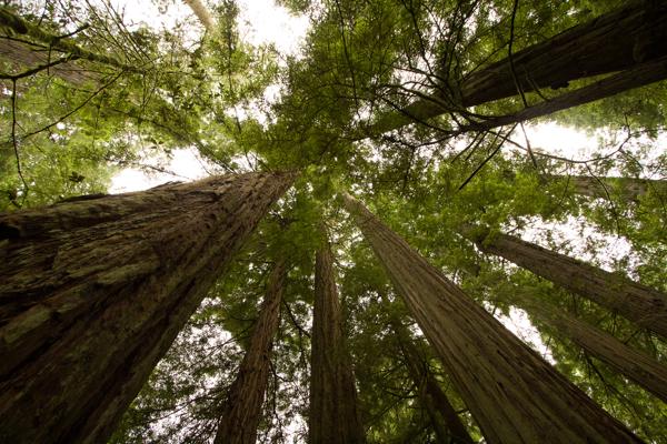 Del Norte County, United States