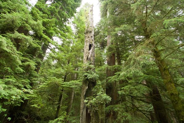 Del Norte County, United States