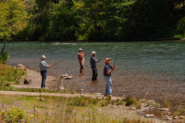 Rogue Elk, United States
