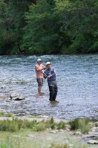 Rogue Elk, United States