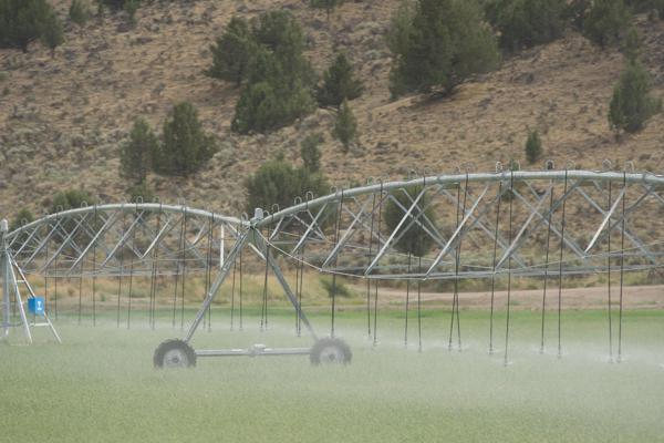 Harney County, United States