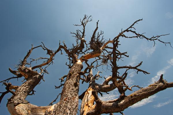 Butte County, United States