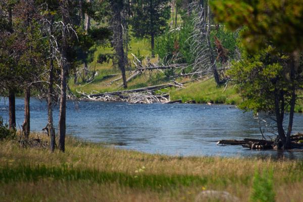 Teton County, United States