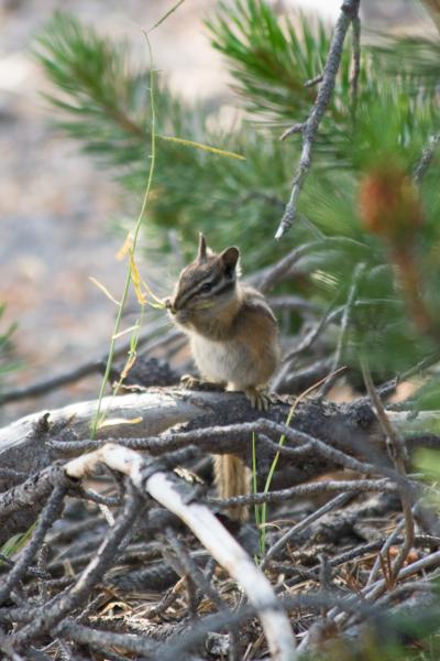 Lake Village, United States