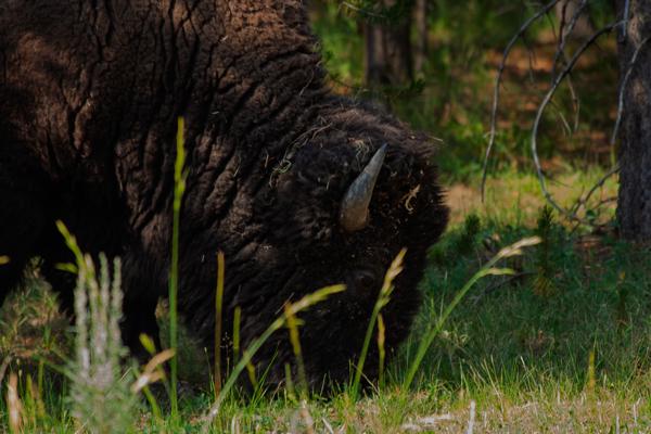 Park County, United States