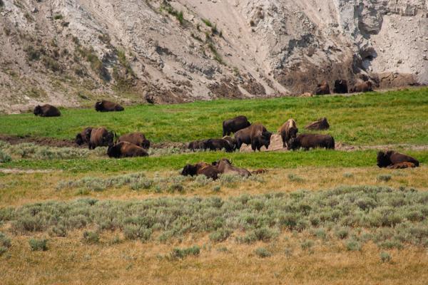 Park County, United States
