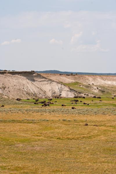 Park County, United States