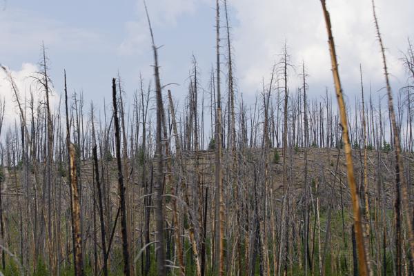 Park County, United States
