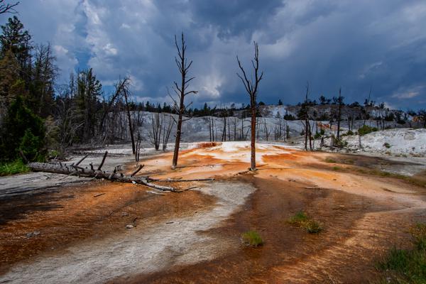 Mammoth, United States