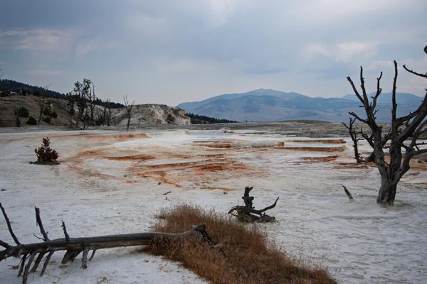 Mammoth, United States