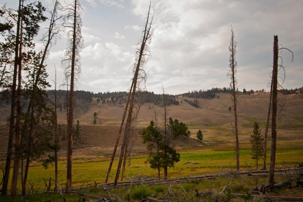 Park County, United States