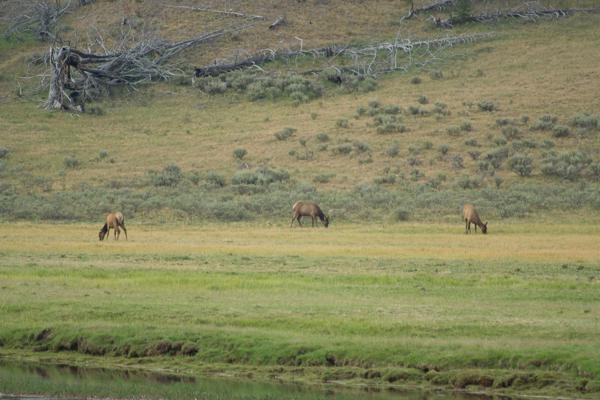 Park County, United States