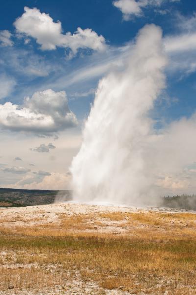 Upper Geyser Basin, United States