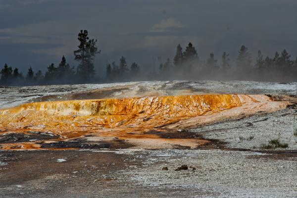 Upper Geyser Basin, United States