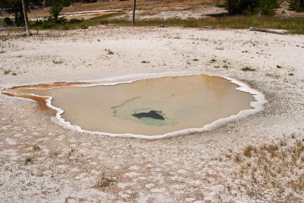 Upper Geyser Basin, United States