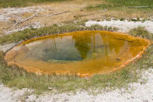 Upper Geyser Basin, United States