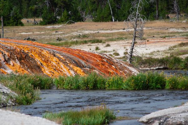 Teton County, United States