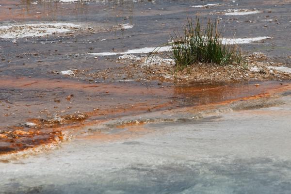 Teton County, United States