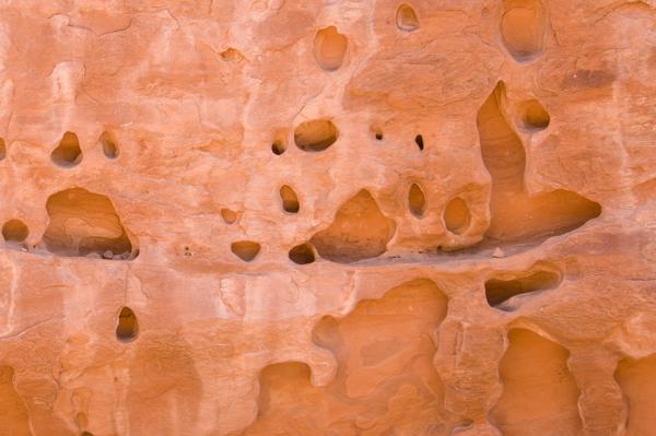 Grand County, United States