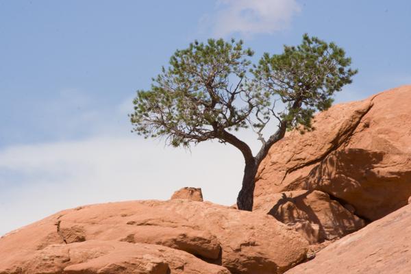 San Juan County, United States