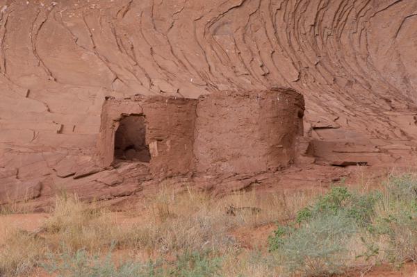 Navajo County, United States