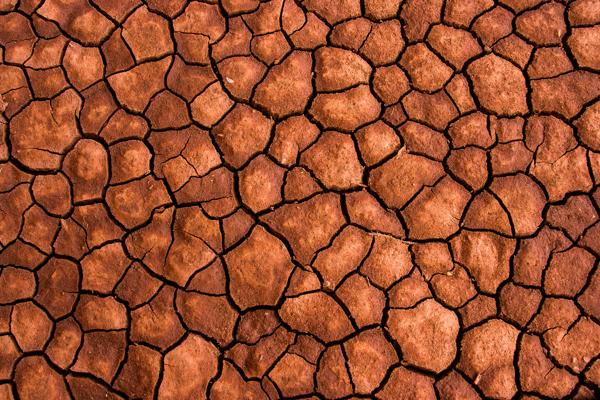 Navajo County, United States