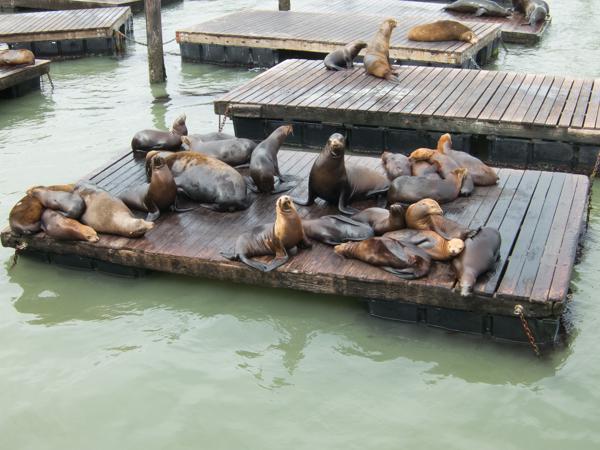San Francisco, Vereinigte Staaten