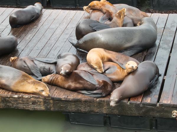 San Francisco, Vereinigte Staaten