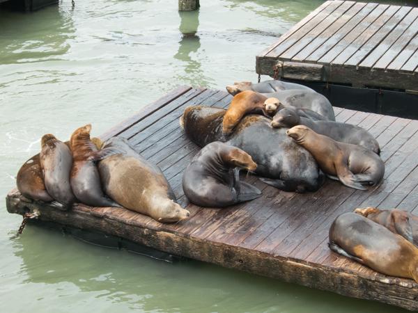 San Francisco, Vereinigte Staaten