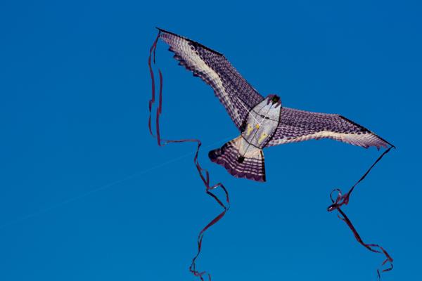 San Francisco, United States