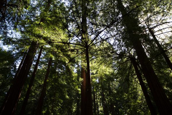 Marin County, United States