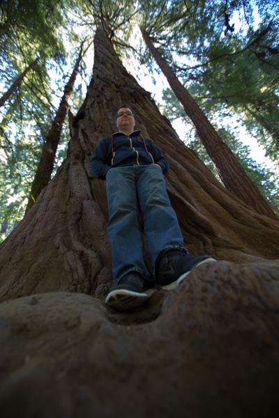 Marin County, United States