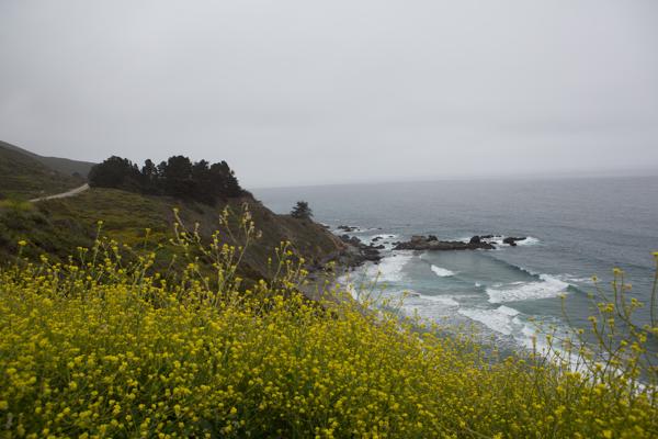 Big Sur, Vereinigte Staaten