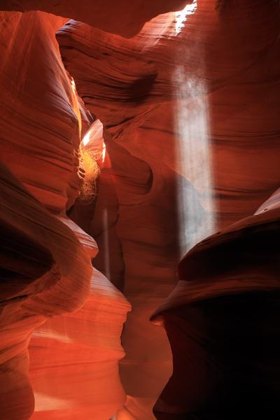 Coconino County, United States