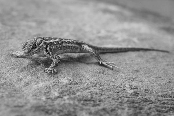 Grand County, United States