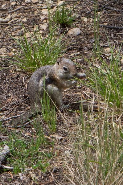 Grand County, United States