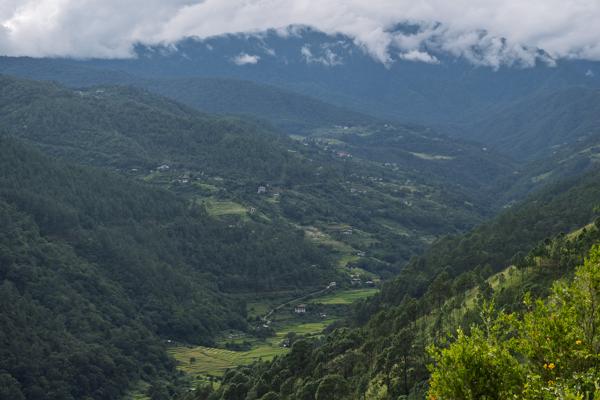 Cloudy Mountain Valley with Terraced Fields, Eastern Bhutan Sobsokha Yuwakha Zhika, Bhutan