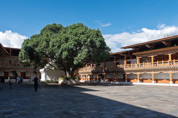 Courtyard of Punakha Dzong, Bhutan Yebisa, Bhutan