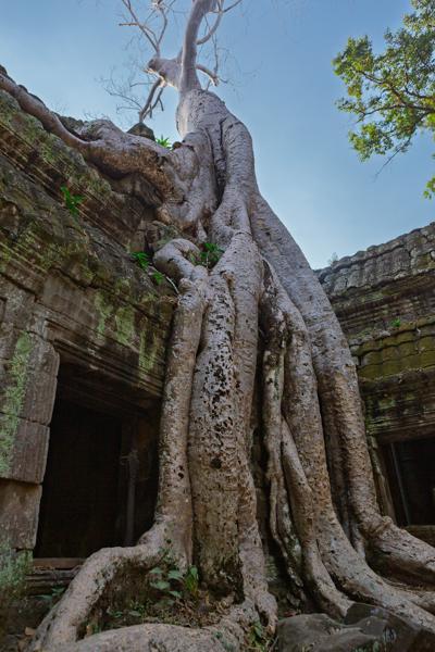 Siem Reap, Cambodia