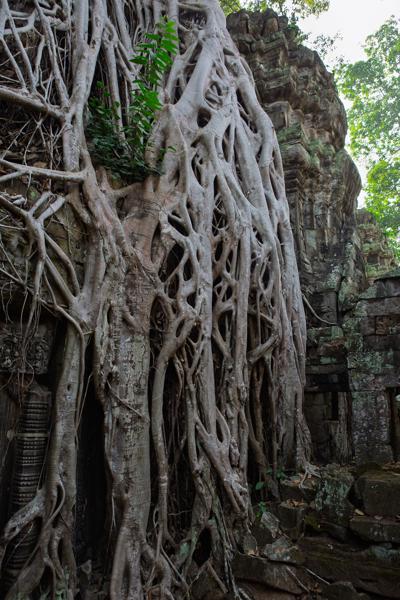 Siem Reap, Cambodia