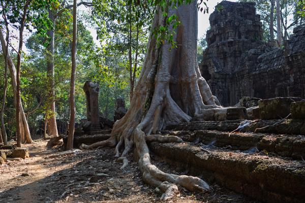 Siem Reap, Cambodia