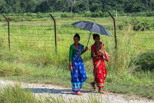 Women in Colorful Saris Walking Along a Rural Path Bharatpur, Nepal